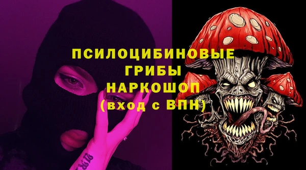 марки lsd Бородино