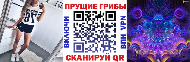 Галлюциногенные грибы Psilocybine cubensis  Купить  Долинск 